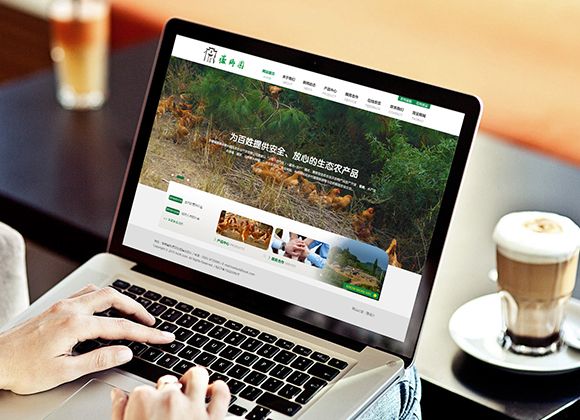 徽乡园生态农产品网站建设