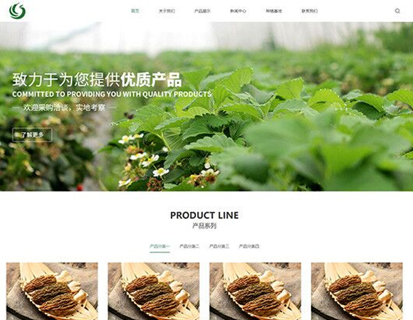 农业科技通用响应式网站设计